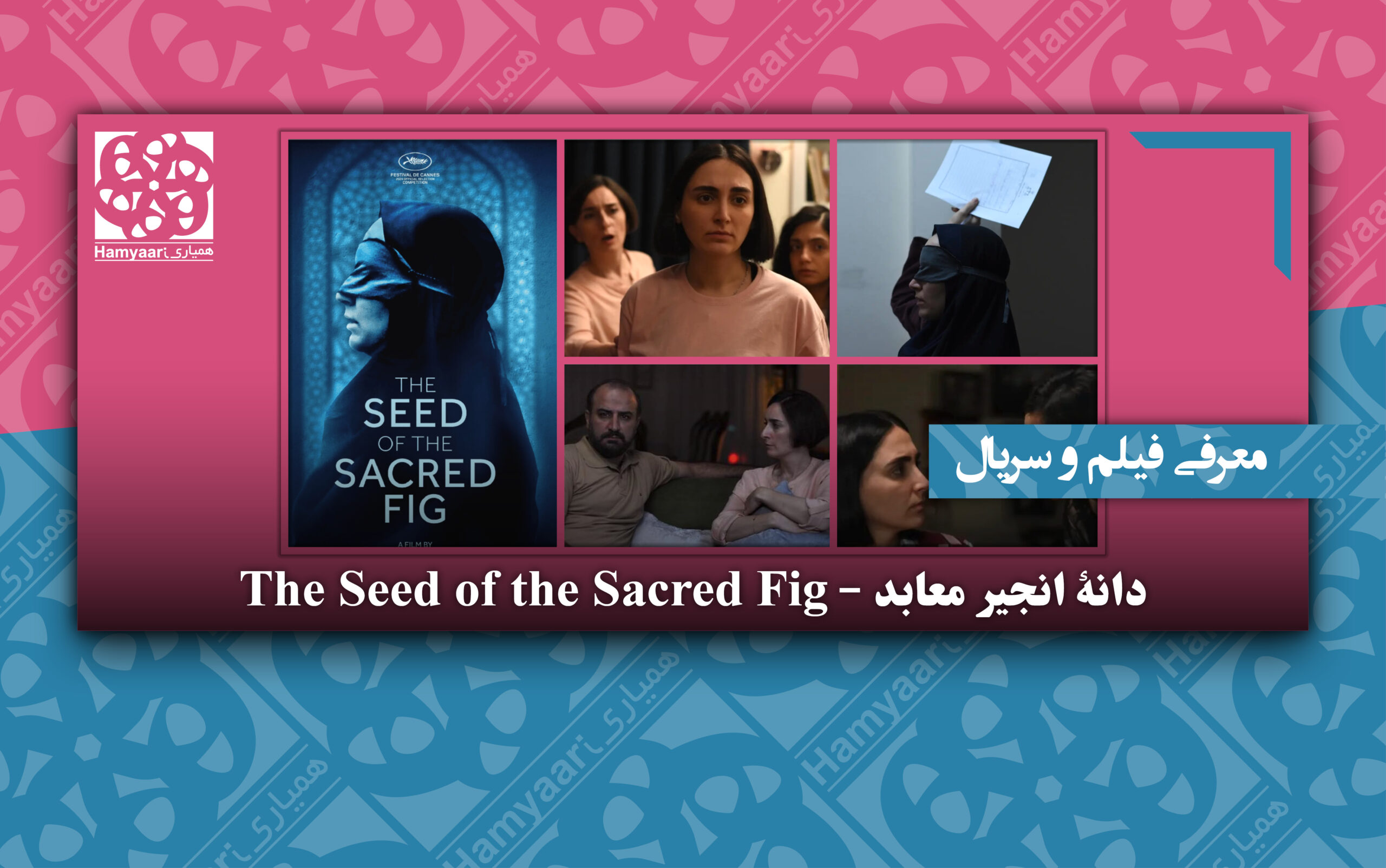 معرفی فیلم و سریال: دانهٔ انجیر معابد - The Seed of the Sacred Fig